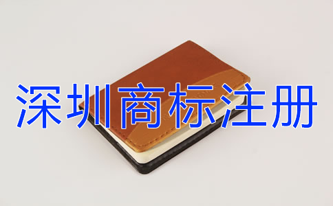 專業代理深圳商標注冊設計