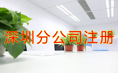 深圳分公司注冊(cè)資金要求有哪些？